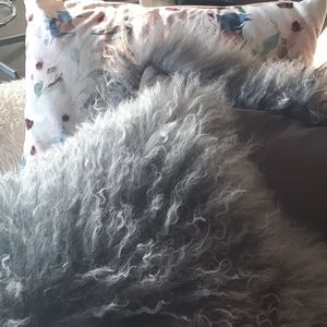 2 Tibetan Lamb Fur Decorative Pillows 17x17